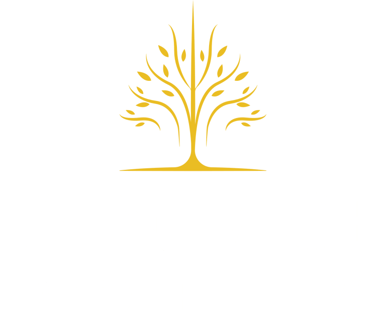 developer_MnyeLpv4Z5