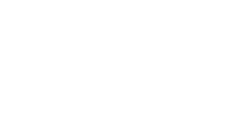 developer_logo19