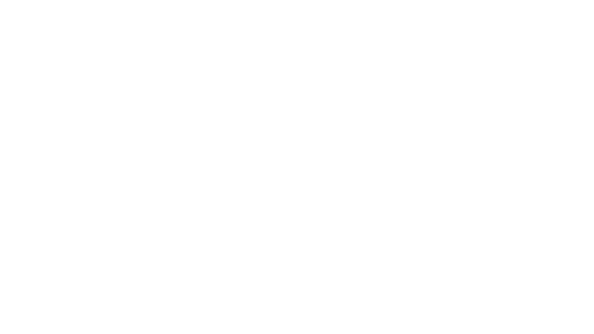 developer_logo3