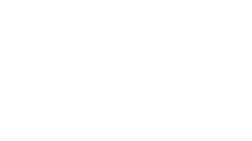 developer_logo9