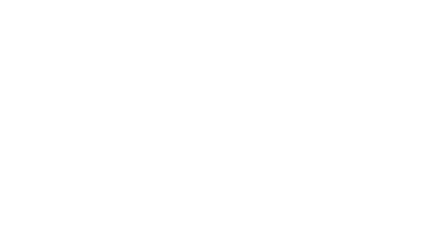 logo-img29